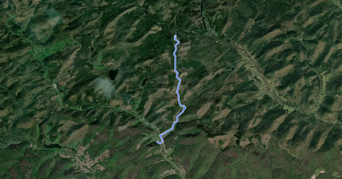 Маршрут Blue dot на спутниковом снимке