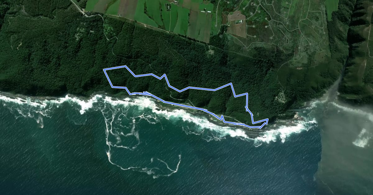 Маршрут Blue Duiker Trail на спутниковом снимке