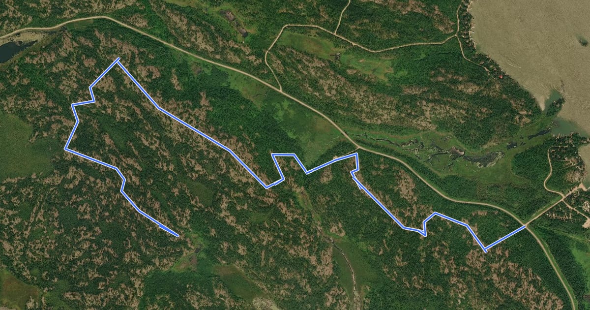 Маршрут Blue Highway Route на спутниковом снимке