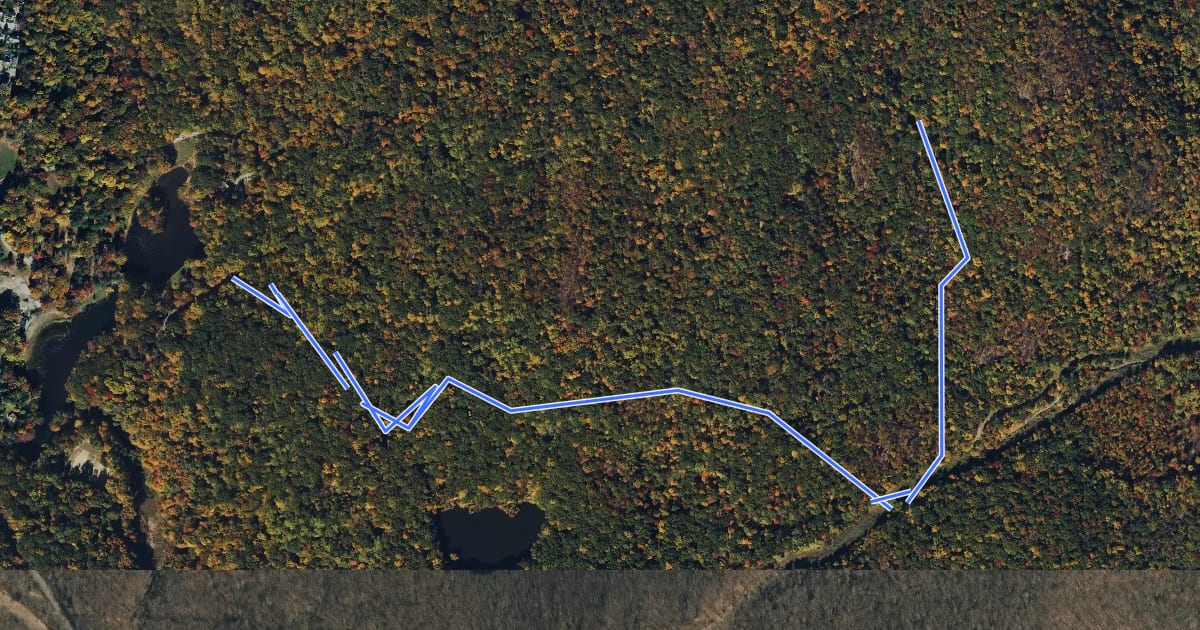 Маршрут Blue Mountain Summit Trail на спутниковом снимке
