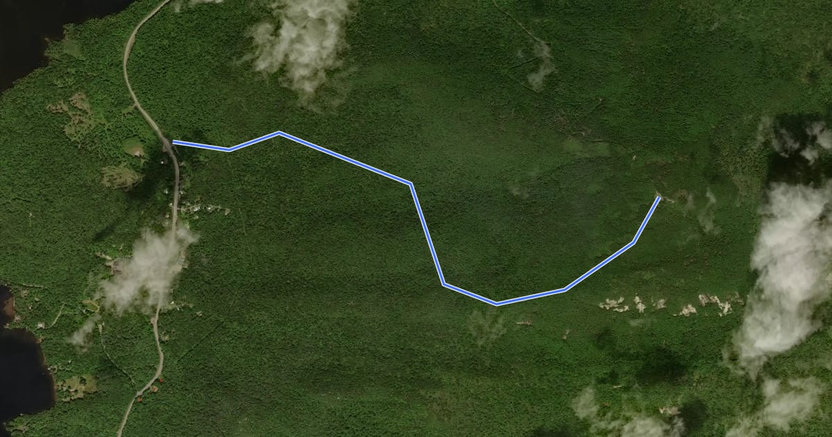 Маршрут Blue Mountain Trail на спутниковом снимке