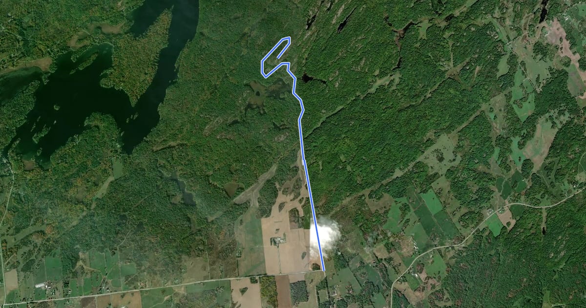 Маршрут Blue Mountain Trail на спутниковом снимке