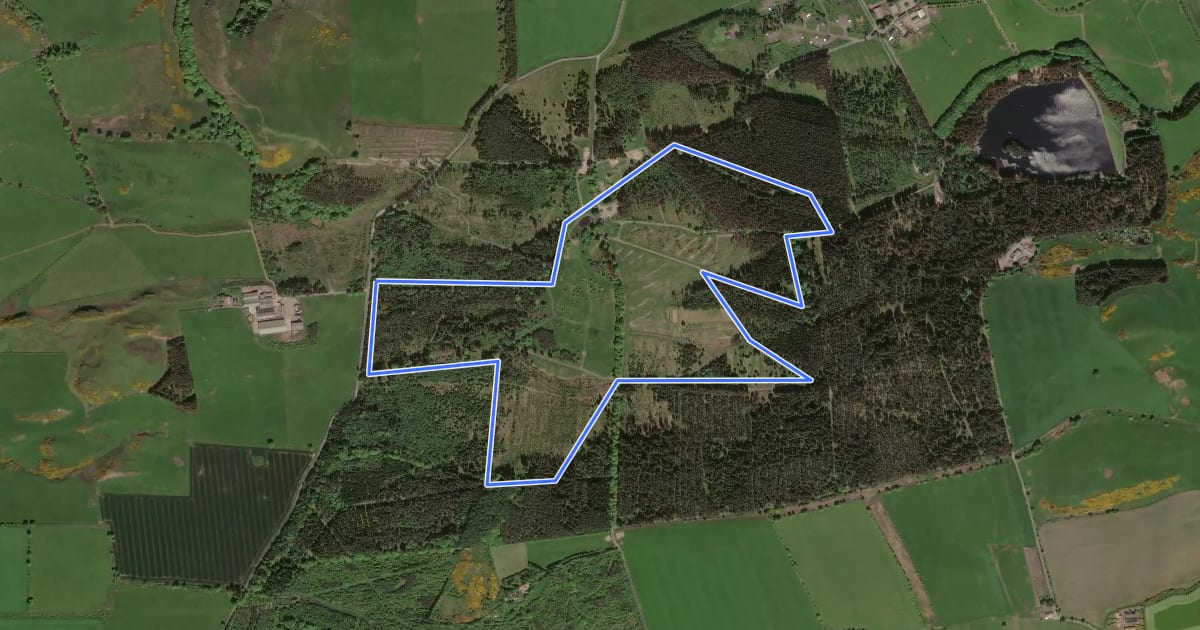 Маршрут Blue Route на спутниковом снимке