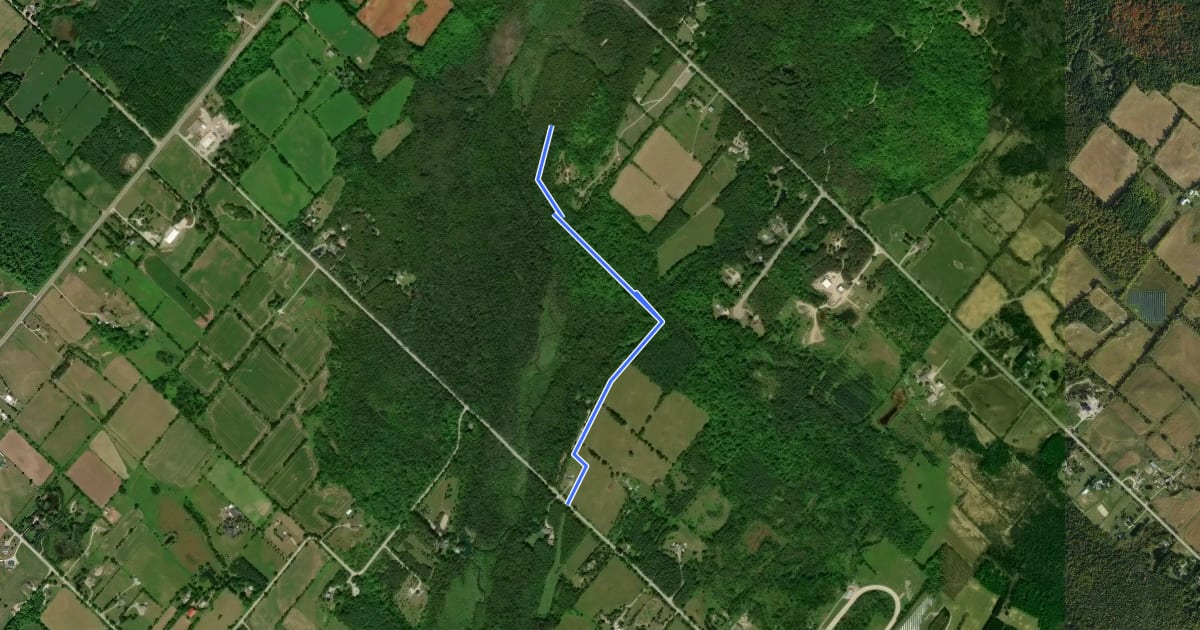 Маршрут Blue Springs Side Trail на спутниковом снимке