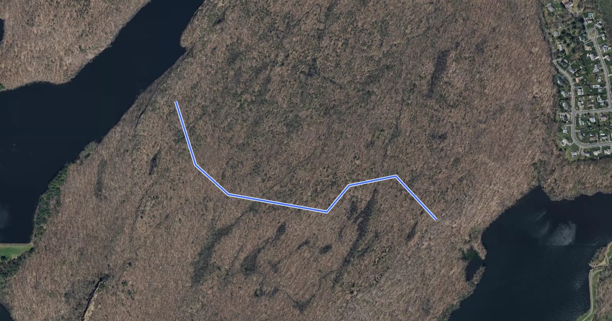 Маршрут Blue-Yellow Trail на спутниковом снимке