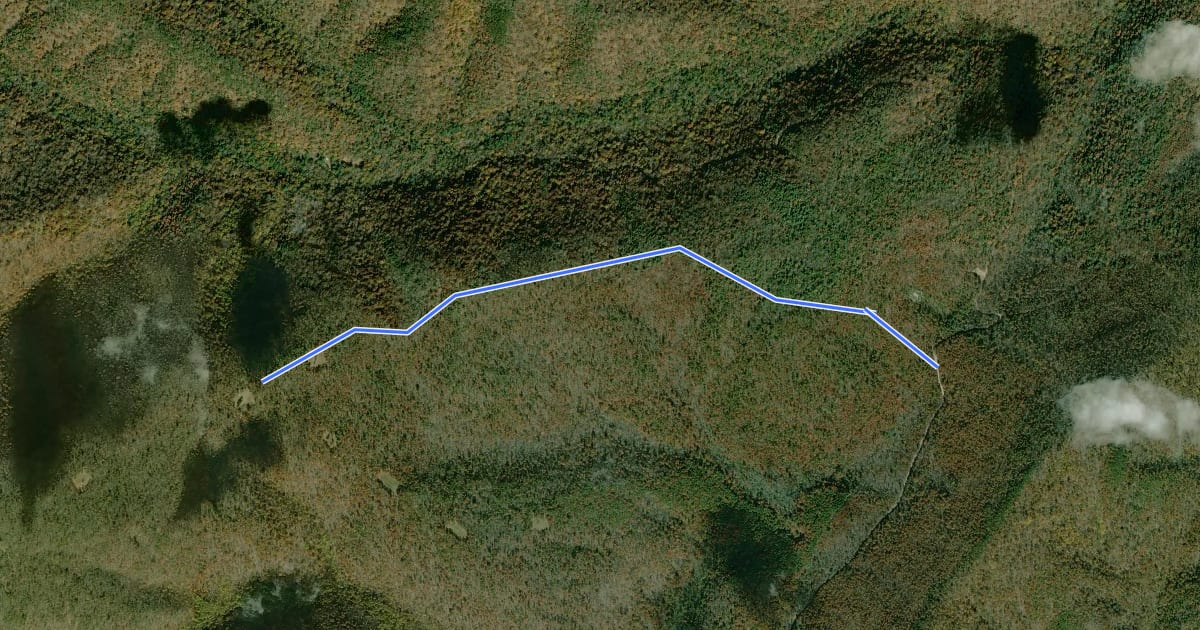 Маршрут Blueberry Trail на спутниковом снимке