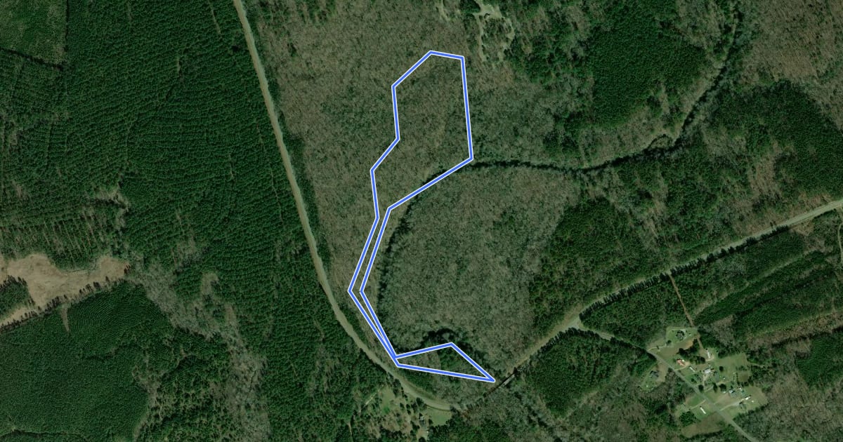 Маршрут Bluff Loop Trail на спутниковом снимке
