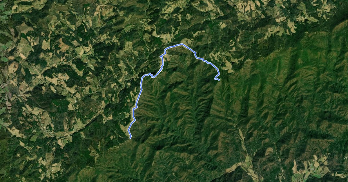 Маршрут Bluff Mountain Trail на спутниковом снимке