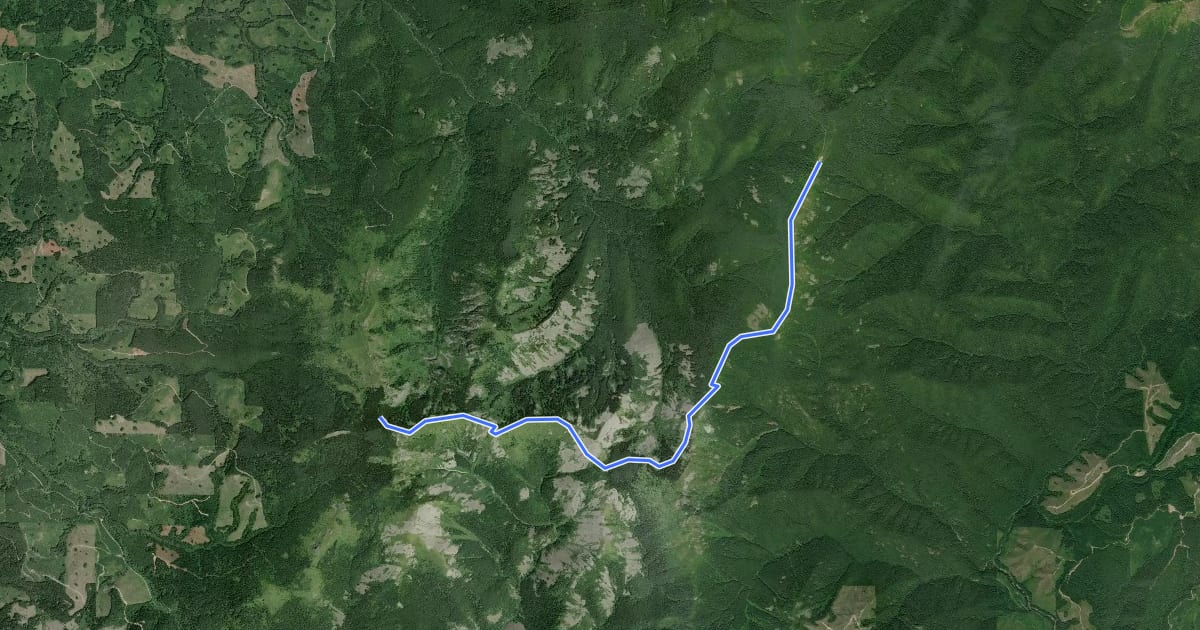 Маршрут Bluff Mountain Trail на спутниковом снимке