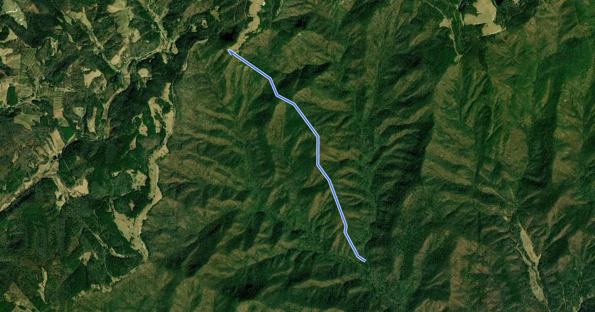 Маршрут Bluff Ridge Primative Trail на спутниковом снимке