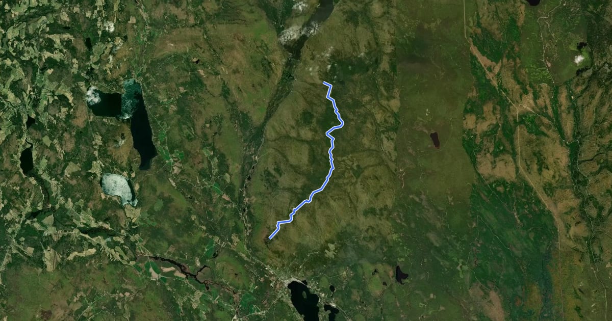 Маршрут Bluff Ridge Trail на спутниковом снимке
