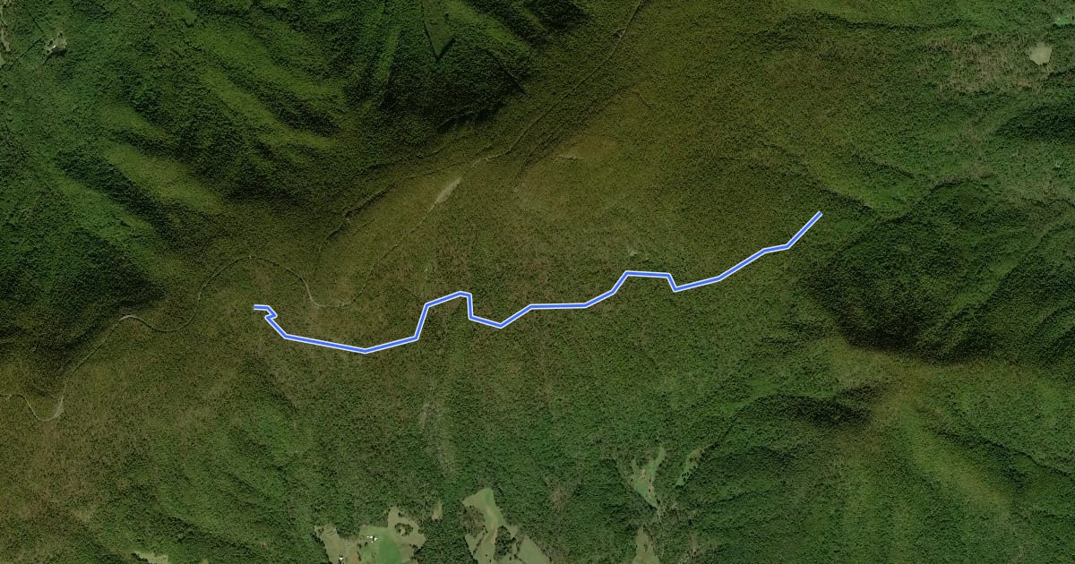 Маршрут Bluff Trail на спутниковом снимке