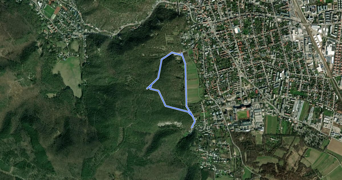 Маршрут Bockerl Runde (Mödling) на спутниковом снимке