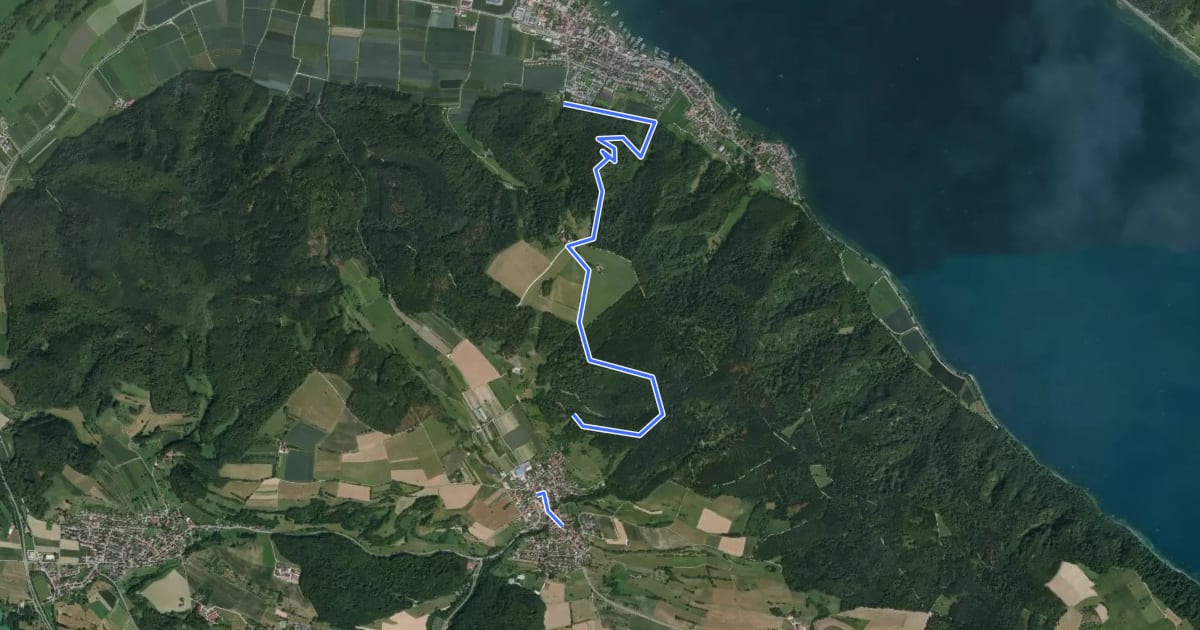 Маршрут Bodensee-Rundwanderweg - Alternative Bodanrück на спутниковом снимке