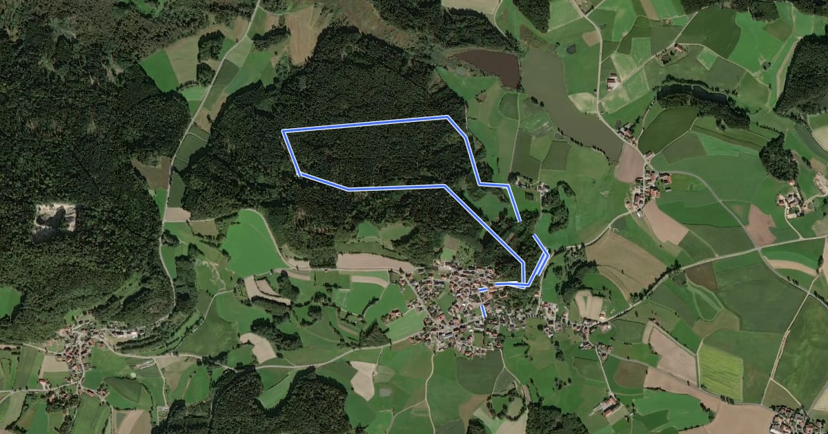 Маршрут Bodenwaldweg "T 1" на спутниковом снимке