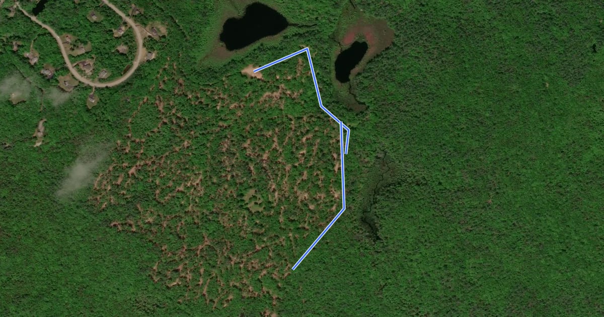 Маршрут Bog Trail на спутниковом снимке