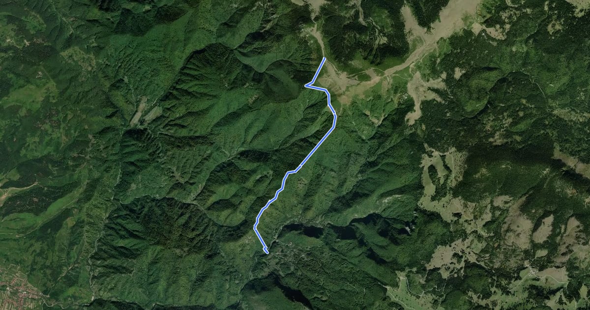 Маршрут Boga-Piatra Bulzului-Traseul BR на спутниковом снимке