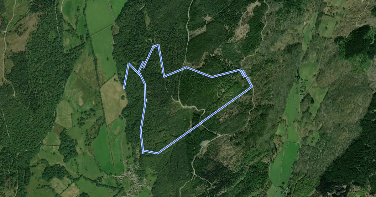 Маршрут Bogle Crag Trail (long) на спутниковом снимке