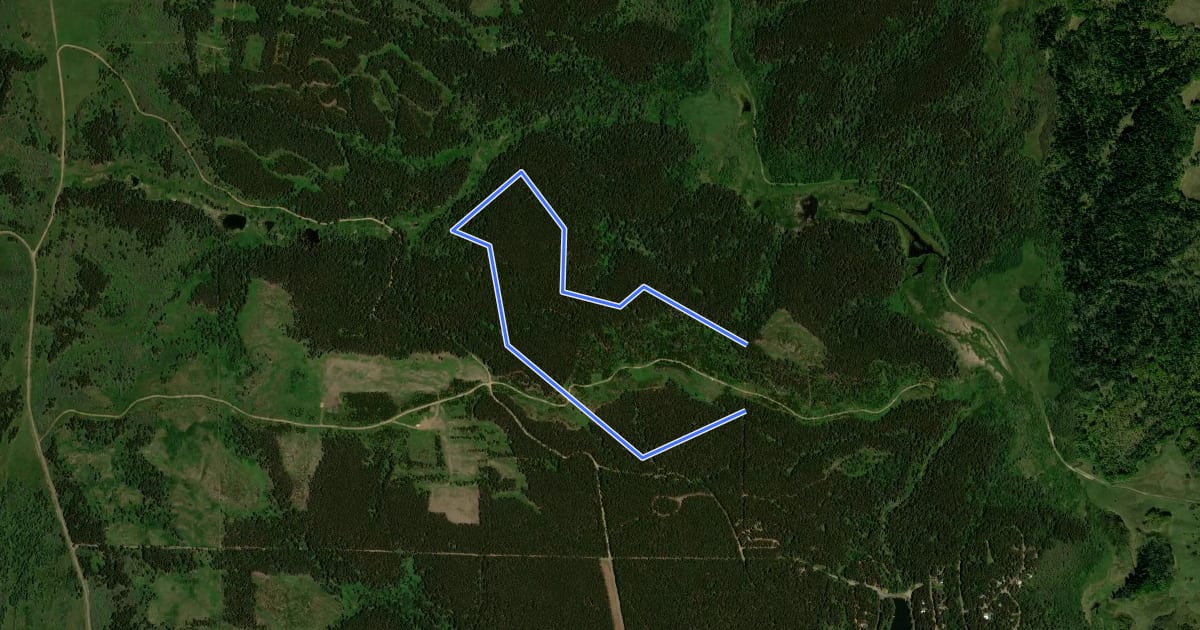 Маршрут Boiler Creek Trail на спутниковом снимке