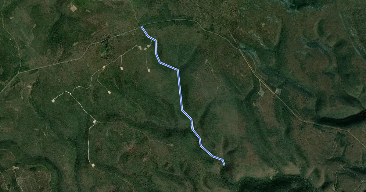 Маршрут Boiler Run Trail на спутниковом снимке