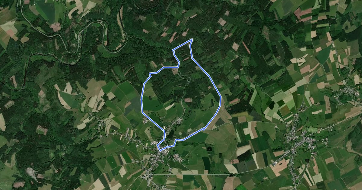 Маршрут Bois de Bertogne на спутниковом снимке
