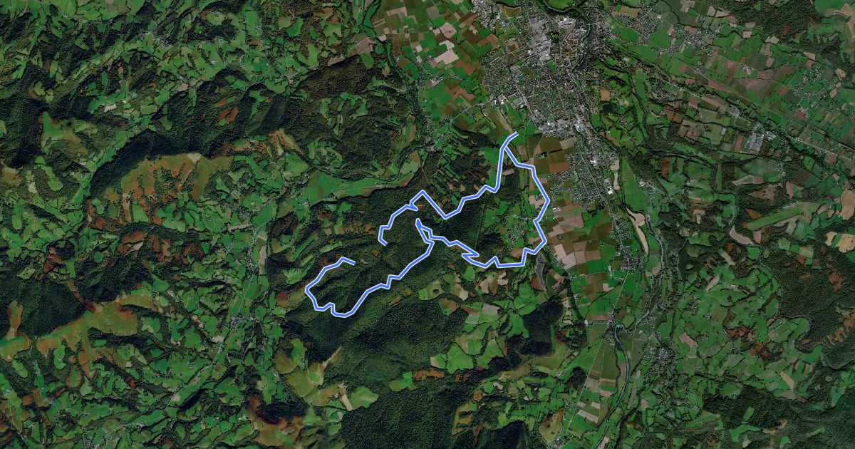 Маршрут Bois de Haut на спутниковом снимке