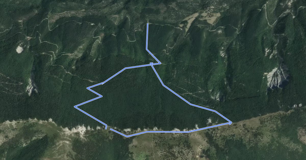 Маршрут Bois de la Fayée на спутниковом снимке