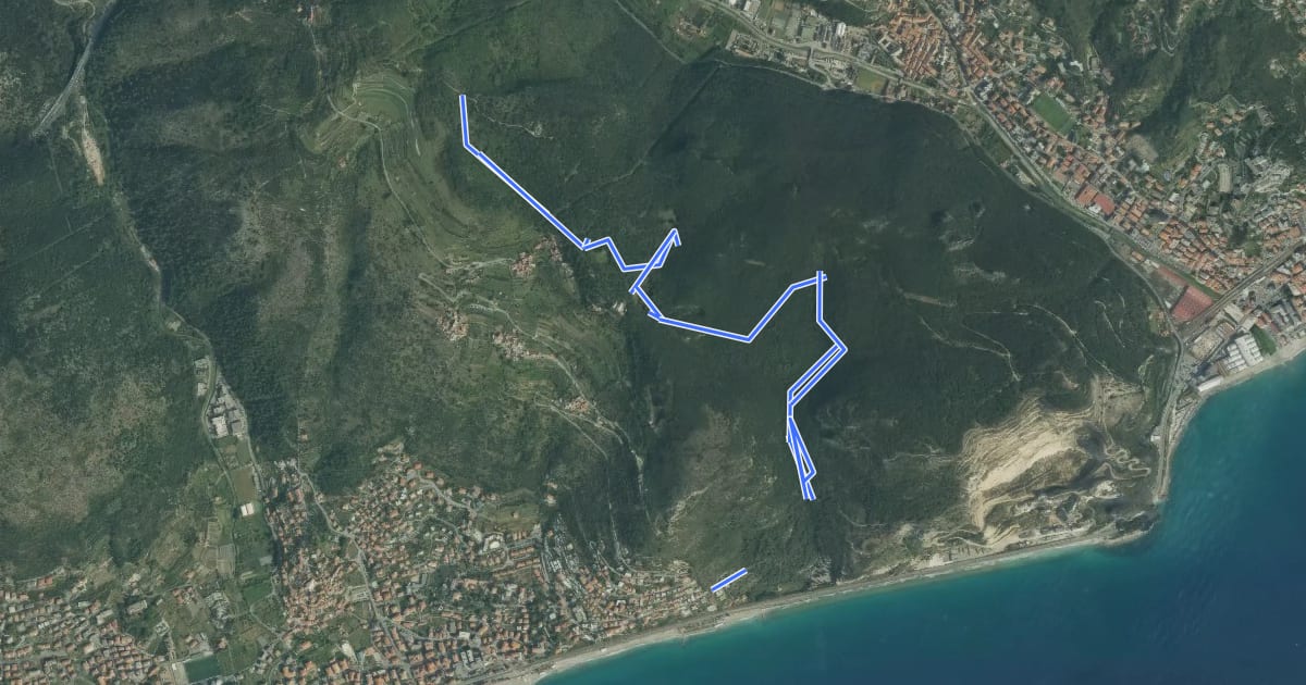 Маршрут Bondi на спутниковом снимке