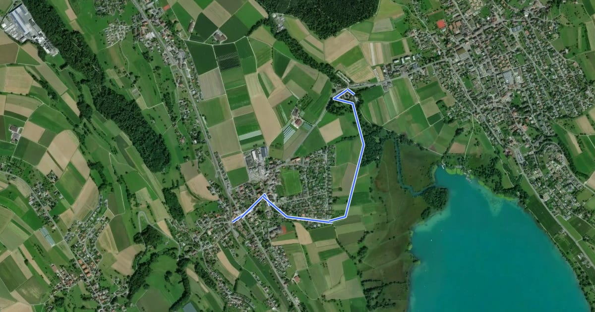 Маршрут Boniswil - Schloss Hallwil на спутниковом снимке