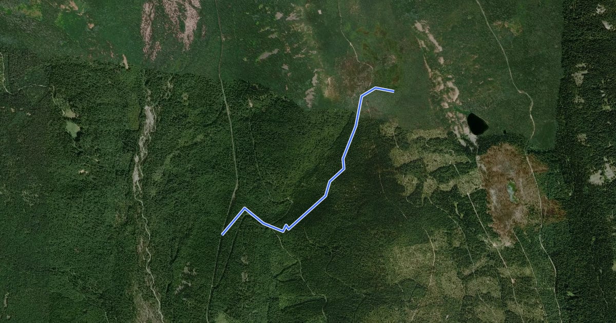 Маршрут Bonney Meadows Trail на спутниковом снимке