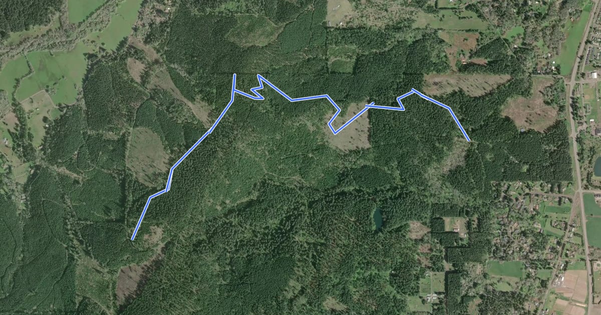 Маршрут Bonzai Trail на спутниковом снимке
