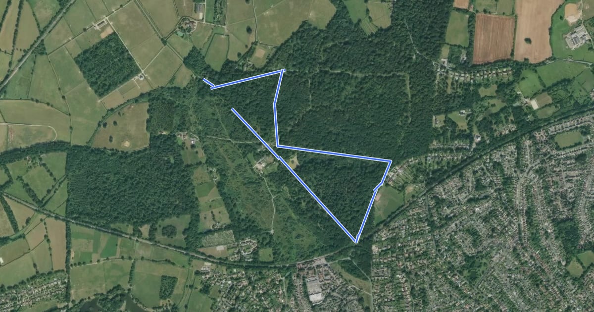 Маршрут Bookham Common Activity Trail, North Downs West на спутниковом снимке