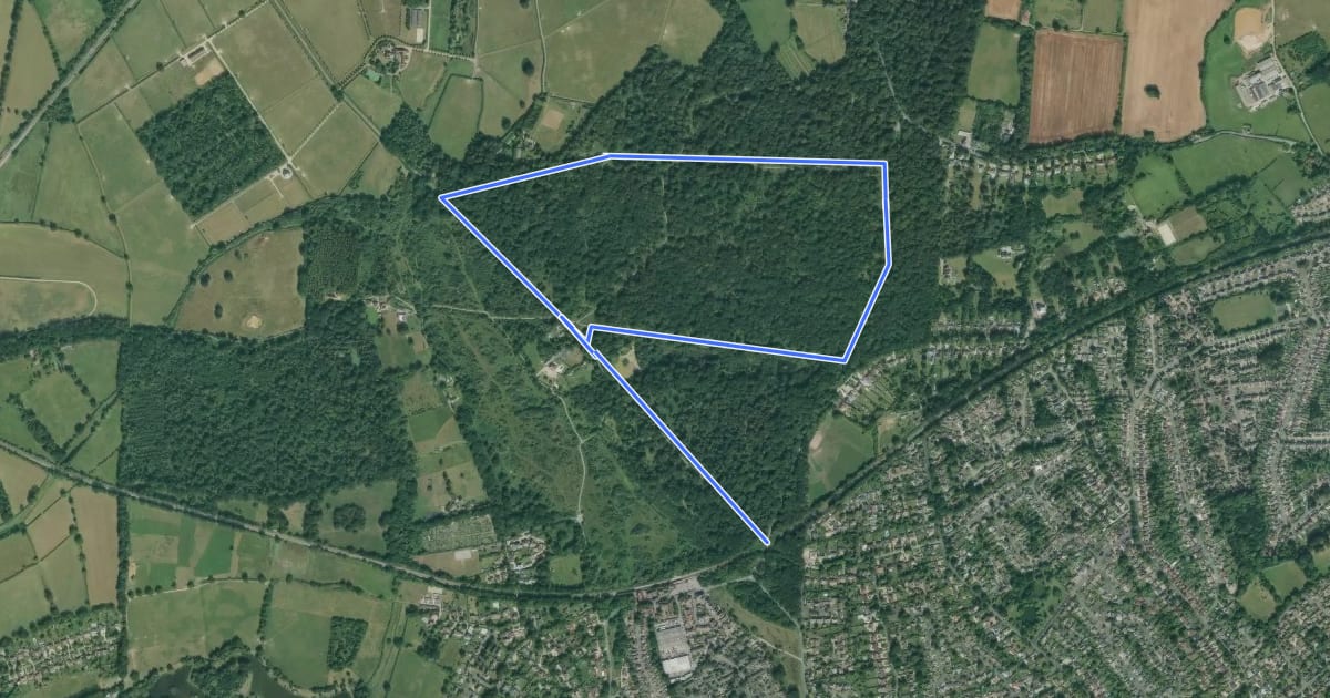 Маршрут Bookham Common Butterfly Walk, North Downs West на спутниковом снимке