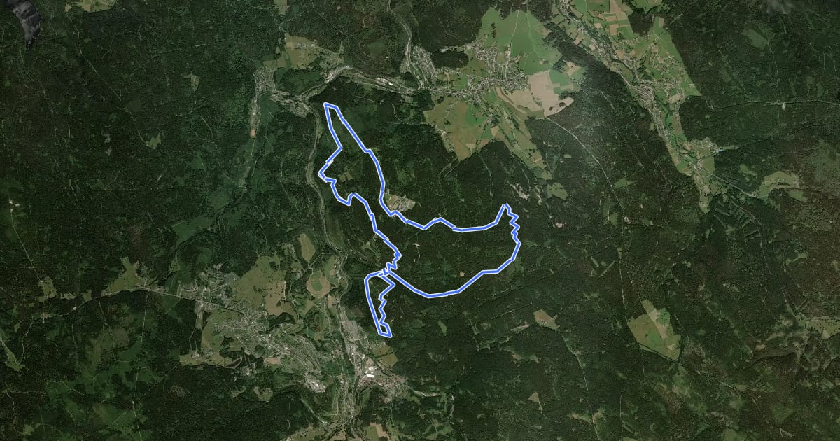 Маршрут Border Trail на спутниковом снимке