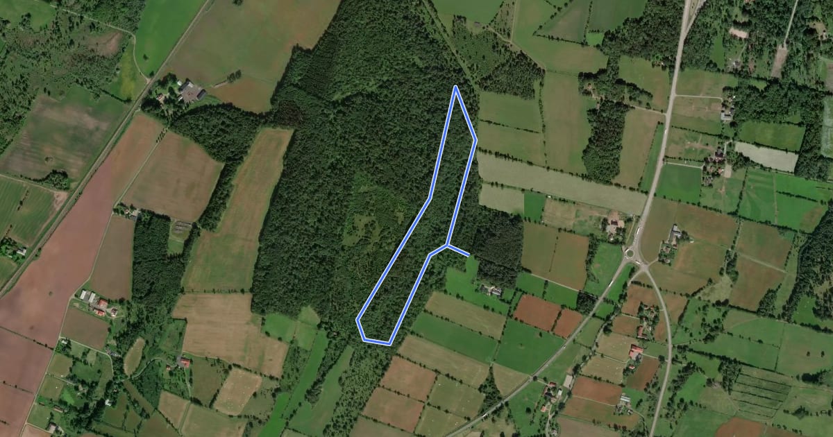 Маршрут Borgundaberget Röd 2,5 km на спутниковом снимке