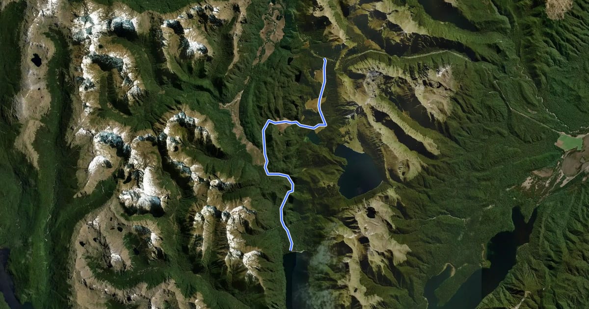 Маршрут Borland Road to Monowai Hut на спутниковом снимке