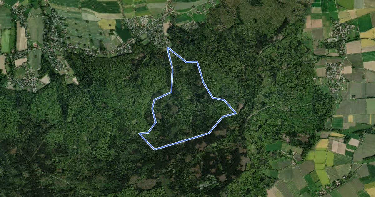 Маршрут Bornau-Rundweg на спутниковом снимке
