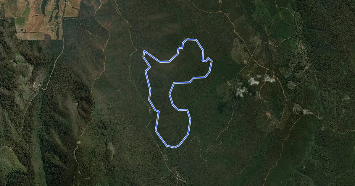 Маршрут Boroondara Track Circuit на спутниковом снимке