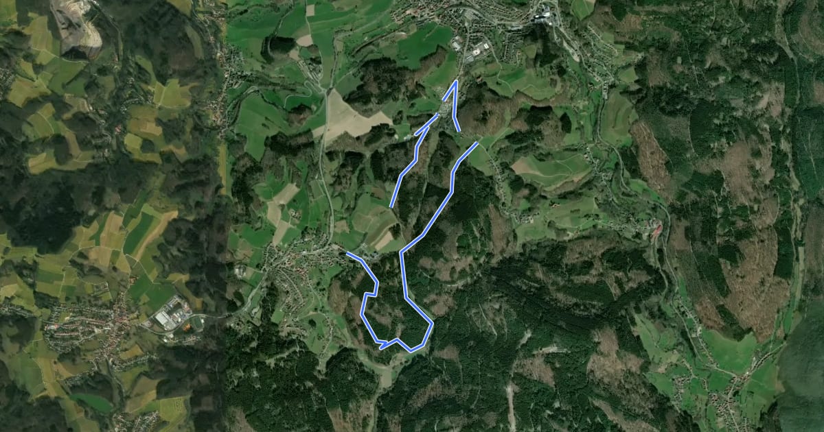Маршрут Boschwaldweg на спутниковом снимке