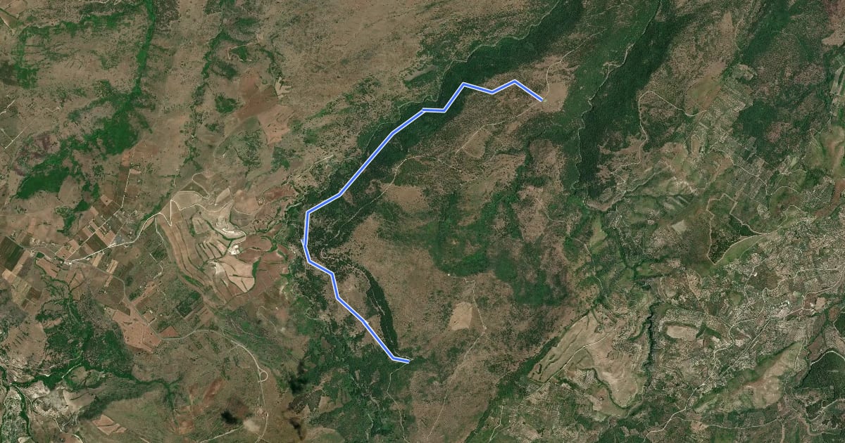 Маршрут Bosco del Pisano var. A на спутниковом снимке