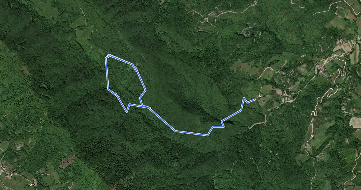 Маршрут Bosco di Tecchie - Itinerario classico на спутниковом снимке
