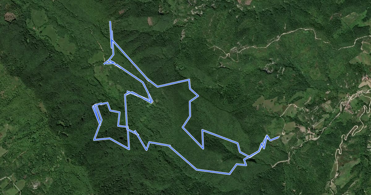 Маршрут Bosco di Tecchie - Itinerario del Grande Anello на спутниковом снимке