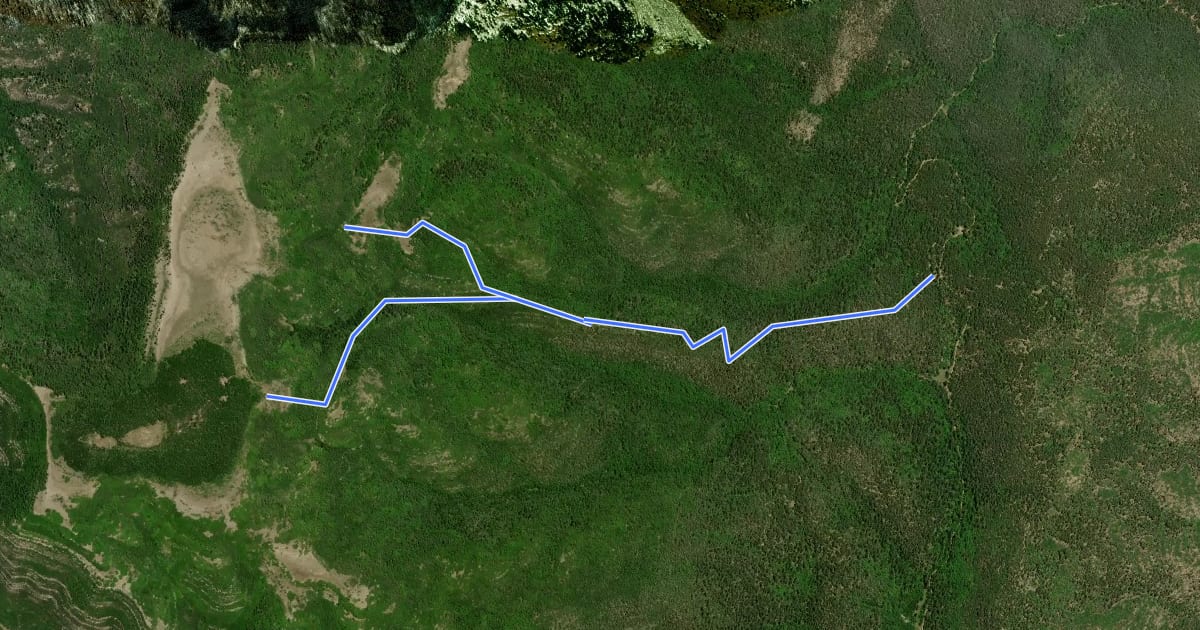 Маршрут Bosque Trail на спутниковом снимке
