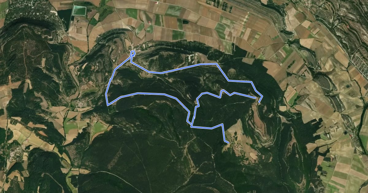 Маршрут Bosques de Oteo y Alto de Guardia на спутниковом снимке