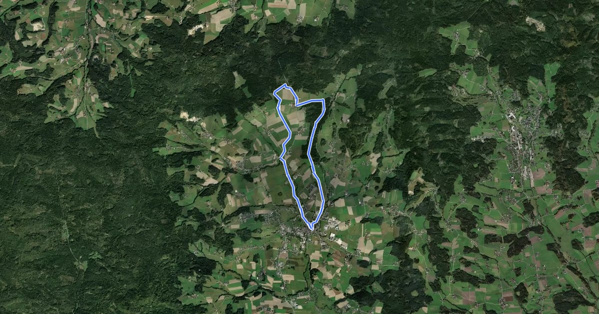Маршрут Botanischer Wanderweg на спутниковом снимке
