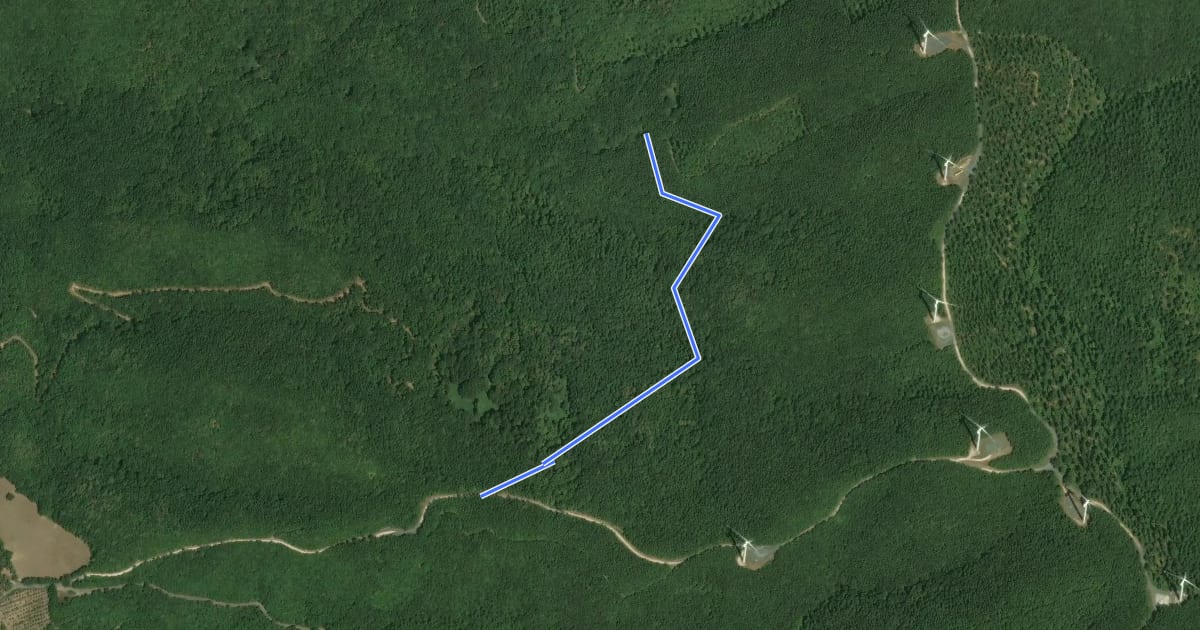 Маршрут Botro del Poggione – La Bornia oppure Innesto tracciato A1 на спутниковом снимке