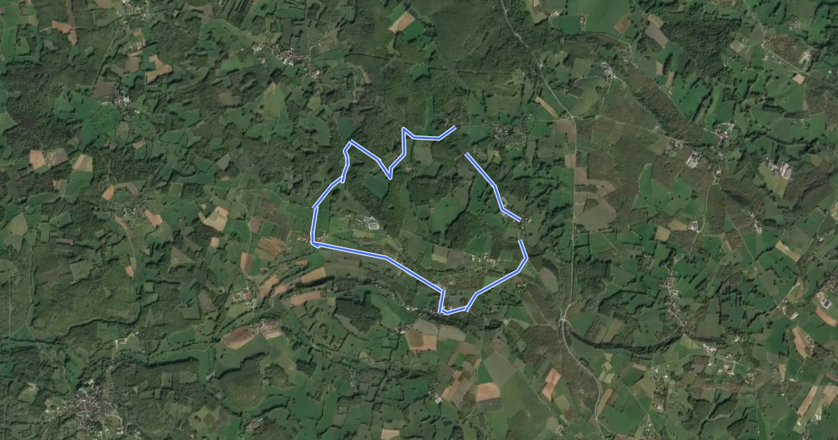 Маршрут Boucle de Grange d'Ans Nord на спутниковом снимке
