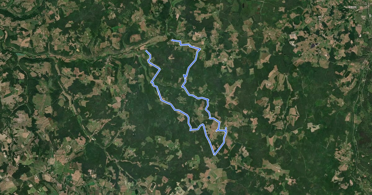 Маршрут Boucle de la Forêt на спутниковом снимке