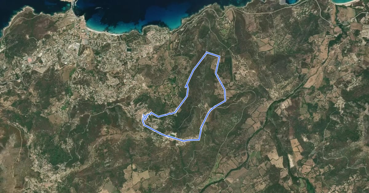 Маршрут Boucle de la Vallée d'Arbo на спутниковом снимке