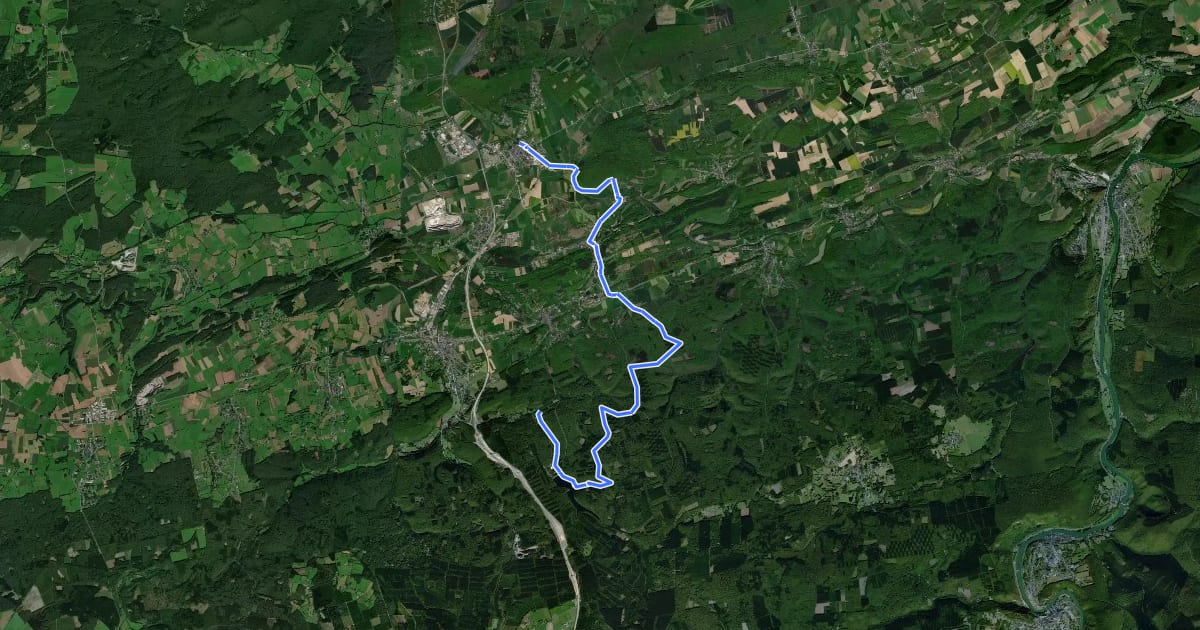Маршрут Boucle des Forêts d'Ardenne на спутниковом снимке